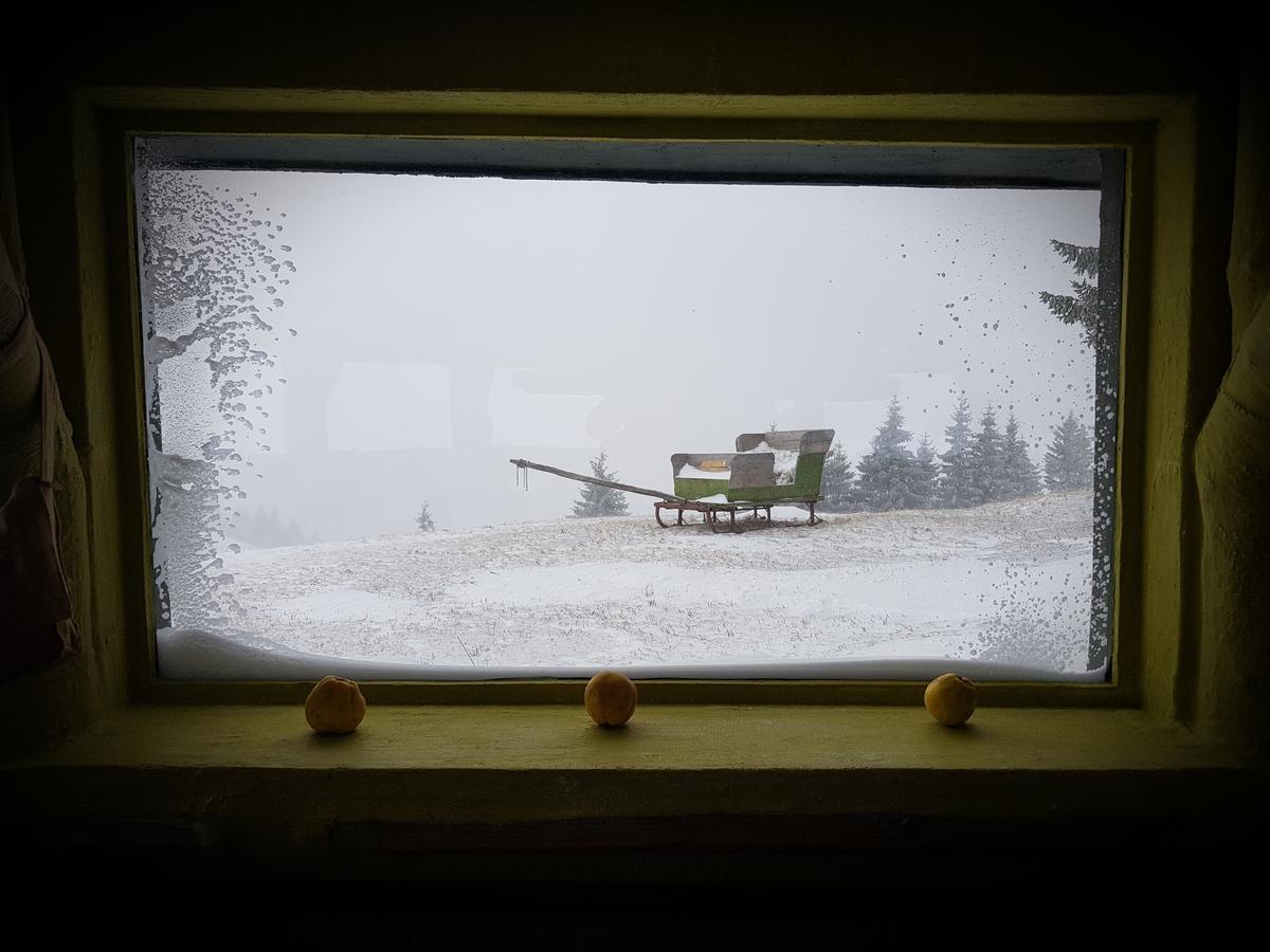 Amfiteatrul Transilvania Villa Moieciu de Jos Bagian luar foto