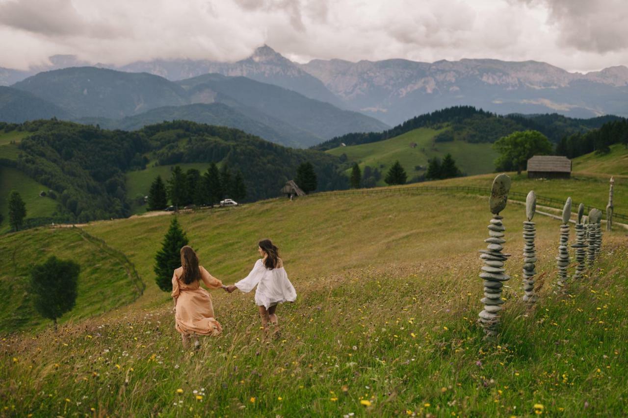 Amfiteatrul Transilvania Villa Moieciu de Jos Bagian luar foto